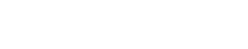 Lien Tech Official Logo